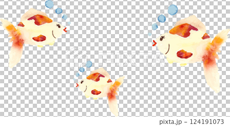 watercolor goldfish 124191073