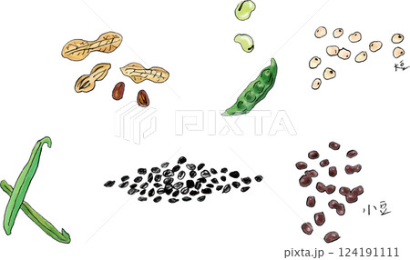 豆 穀物類 豆 穀物類 124191111
