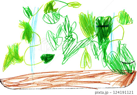 子供が描いた朝顔の観察日記 新芽と朝顔の蔓 子供が描いた朝顔の観察日記 新芽と朝顔の蔓 124191121