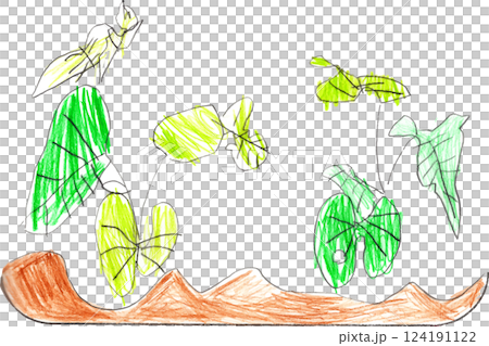 子供が描いた朝顔の観察日記　生える新芽 124191122