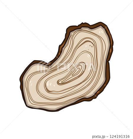 analysis tree rings cartoon vector illustration analysis tree rings cartoon vector illustration 124191316