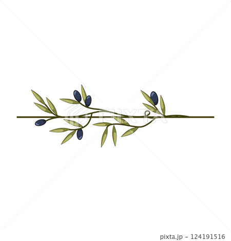 spread olive border divider cartoon vector illustration spread olive border divider cartoon vector illustration 124191516