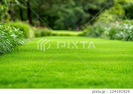 Tranquil Garden with Well-Cared Lawn and Diverse Plants Tranquil Garden with Well-Cared Lawn and Diverse Plants 124191929