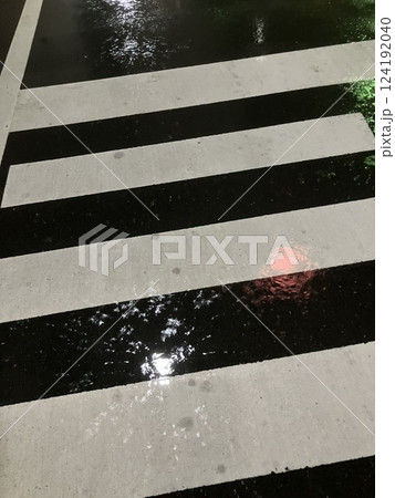 雨に濡れた横断歩道 雨に濡れた横断歩道 124192040