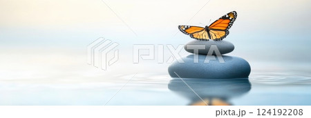 Serene Butterfly Reflection on Water with Pebbles 124192208