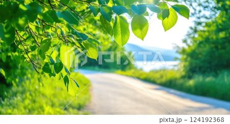 Capture of Early Morning Road and Landscape Capture of Early Morning Road and Landscape 124192368