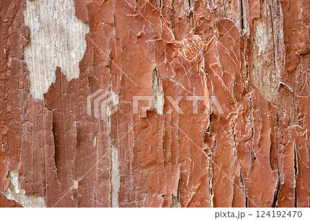 Horizontal image of a brown wooden surface damaged by weathering 124192470
