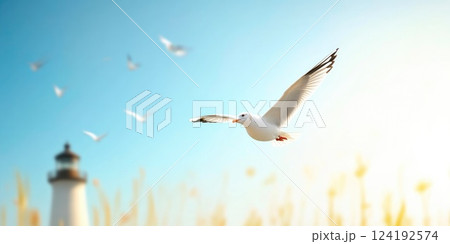 Seagulls flying freely around coastal lighthouse Seagulls flying freely around coastal lighthouse 124192574