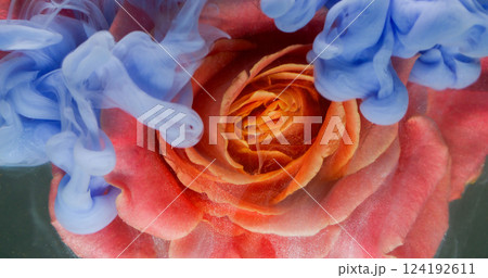 Water bloom. Flower wet texture. Defocused blue pink red colorful plant fluid paint nature splash texture on abstract dark black background. 124192611