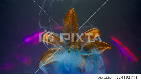 Art mist. Smoke paint. Blue pigment cloud splash on natural flower. Defocused sphere neon lens spectrum black abstract water background. 124192741