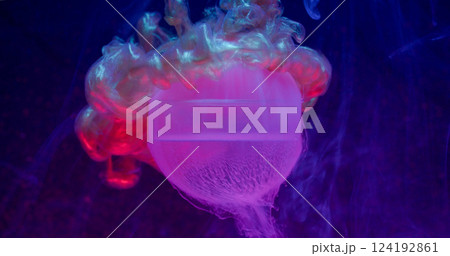 Water ink smoke. Globe texture. Defocused blue neon purple color liquid fume splash wet paint floating on abstract art dark black background. 124192861