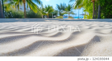Golden Beach Sand Framed by Palms Golden Beach Sand Framed by Palms 124193044
