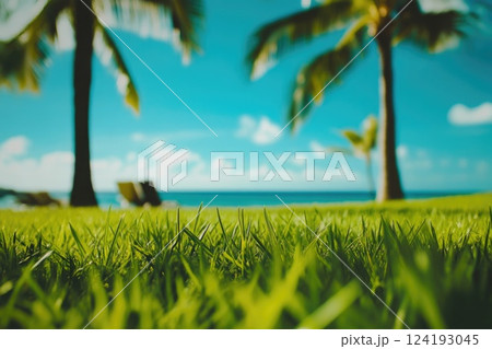 Close-Up of Grass with Palms and Beach Close-Up of Grass with Palms and Beach 124193045