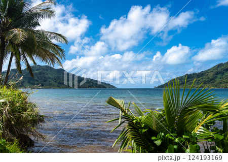 Coastline and Mountains on Tahaa Island, French Polynesia Coastline and Mountains on Tahaa Island, French Polynesia 124193169