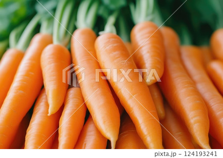 Carrots with Fresh, Bright Green Leaves Carrots with Fresh, Bright Green Leaves 124193241