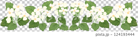 Garlic Mustard row illustration Edible flowers Garlic Mustard row illustration Edible flowers 124193444