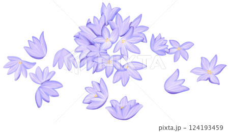 Chive blossoms Illustration Edible Flowers Chive blossoms Illustration Edible Flowers 124193459