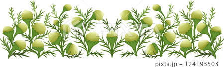 Illustration of row of edible pineapple weed flowers 124193503