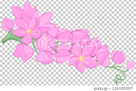 Mexican Creeper Illustration Edible Flowers Mexican Creeper Illustration Edible Flowers 124193507