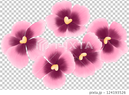 Mini Dianthus Illustration Edible Flowers 124193526