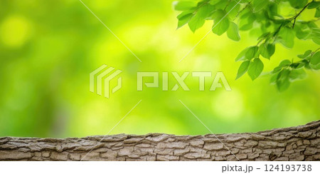 Tree branch details against vibrant green Tree branch details against vibrant green 124193738