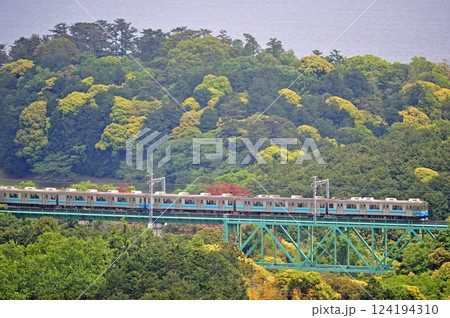 伊豆急行 川奈-富戸 伊豆急 8000系 伊豆急行 川奈-富戸 伊豆急 8000系 124194310