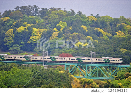 伊豆急行　川奈－富戸　JR東日本　185系　A8編成（大宮）　踊り子 124194315