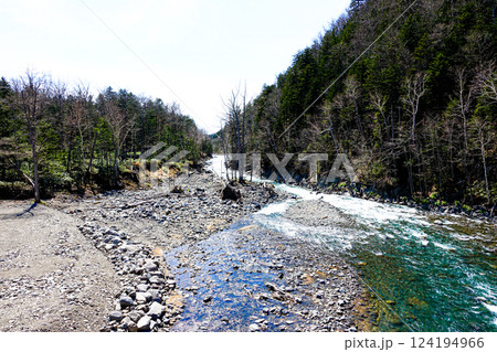 北海道美瑛町白金温泉近くの美瑛川上流の初夏の風景 124194966