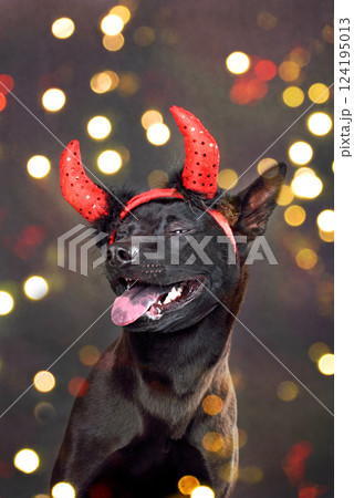 Funny dog on glowing lights background Funny dog on glowing lights background 124195013