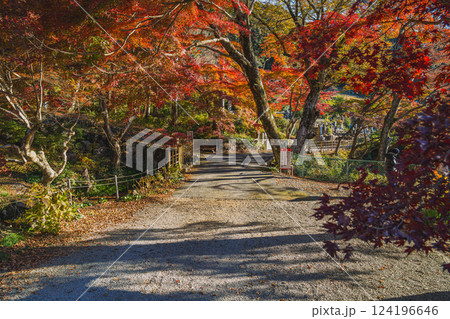 豊橋市にある紅葉に包まれた普門寺の風景(愛知県) 豊橋市にある紅葉に包まれた普門寺の風景(愛知県) 124196646