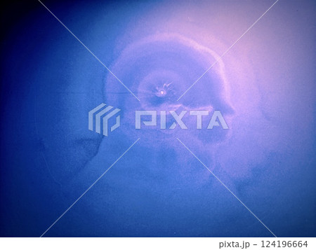 An abstract image resembling the shape of a human face. 124196664