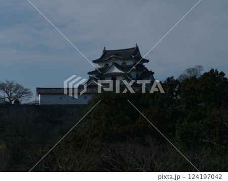 春の彦根城の印象 124197042