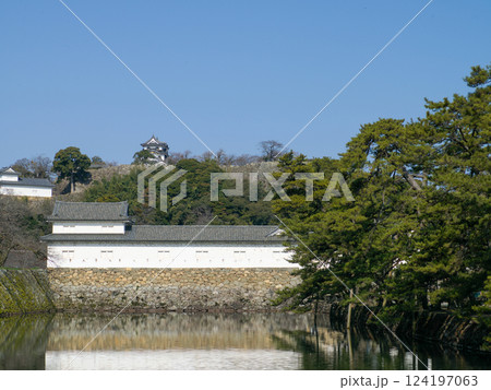 春の彦根城の印象 124197063