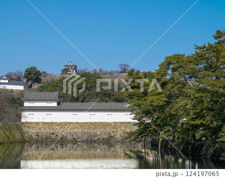 春の彦根城の印象 124197065