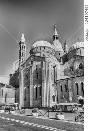 Domes of the Basilica of Saint Anthony in Padua, Italy 124197495