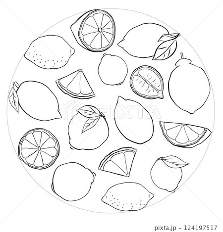 Lemon slice and whole with leaves circle round composition. Graphic line ink vector black and white illustration isolated on transparent background. ideal for menu and package designs. Lemon slice and whole with leaves circle round composition. Graphic line ink vector black and white illustration isolated on transparent background. ideal for menu and package designs. 124197517