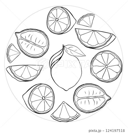 Lemon slices circle round composition. Vector black and white graphic line ink illustration for logo, package, kitchen design, fabric and textile. Lemon slices circle round composition. Vector black and white graphic line ink illustration for logo, package, kitchen design, fabric and textile. 124197518