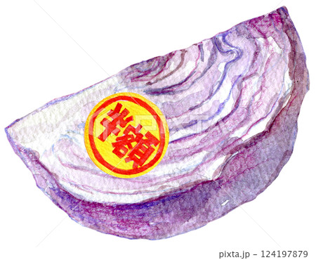 水彩イラスト　半額シールが貼られた紫キャベツ 124197879