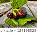 Closeup of delicious ripe blackberries and green leaves on wooden table. Agriculture concept. 124198525