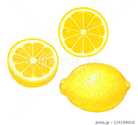 レモンのイラスト 124199029