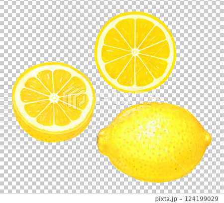 レモンのイラスト 124199029