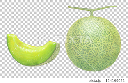 メロンのイラスト メロンのイラスト 124199031
