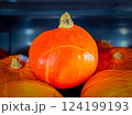 Pumpkins, halloween, thanksgiving, harvest. Top view, two orange, round pumpkins, bright blue background. Landscape format, close up. Wallpaper image, calender and postcard design.Copy space. 124199193