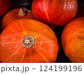 Round orange pumpkins bright colour color stem sunny day. Fall autumn harvest decor decoration pumpkin pie.. Thanksgiving Halloween. Harvest crop agriculture. Close up pile stack. Season seasonal. 124199196