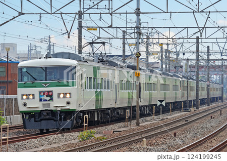 東海道本線　二宮－大磯　JR東日本　185系　C1編成（大宮）　踊り子 124199245