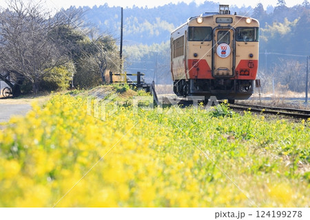 小湊鐵道「菜の花咲く上総川間駅を発車するキハ40」 小湊鐵道「菜の花咲く上総川間駅を発車するキハ40」 124199278