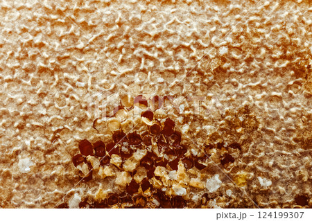Close-up of honeycomb filled with thick amber honey. Part of the wax cap has been cut off, and the viscous honey is starting to flow out. Natural texture of honeycomb and honey. Close-up of honeycomb filled with thick amber honey. Part of the wax cap has been cut off, and the viscous honey is starting to flow out. Natural texture of honeycomb and honey. 124199307