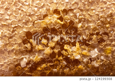 Close-up of honeycomb filled with thick amber honey. Part of the wax cap has been cut off, and the viscous honey is starting to flow out. Natural texture of honeycomb and honey. 124199308