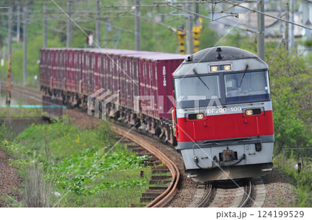 千歳線 北広島-島松 JR貨物 DF200-109(鷲別) 千歳線 北広島-島松 JR貨物 DF200-109(鷲別) 124199529