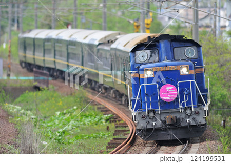 千歳線　北広島－島松　JR北海道　DD51-1095＋JR西日本　24系　トワイライトエクスプレス 124199531